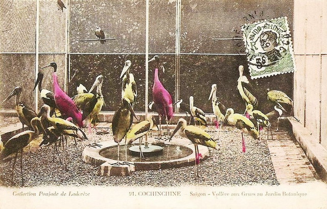 Du hí Thảo Cầm Viên Sài Gòn qua ảnh tô màu một thế kỷ trước - Hình 10 Du hi Thao Cam Vien Sai Gon qua anh to mau mot the ky truoc-Hinh-10