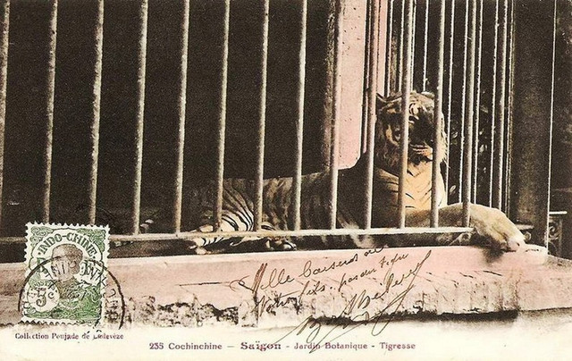 Du hí Thảo Cầm Viên Sài Gòn qua ảnh tô màu một thế kỷ trước - Hình 9 Du hi Thao Cam Vien Sai Gon qua anh to mau mot the ky truoc-Hinh-9