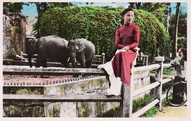 Du hí Thảo Cầm Viên Sài Gòn qua ảnh tô màu một thế kỷ trước - Hình 6 Du hi Thao Cam Vien Sai Gon qua anh to mau mot the ky truoc-Hinh-6