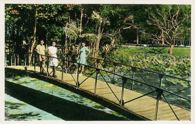 Du hí Thảo Cầm Viên Sài Gòn qua ảnh tô màu một thế kỷ trước - Hình 4 Du hi Thao Cam Vien Sai Gon qua anh to mau mot the ky truoc-Hinh-4