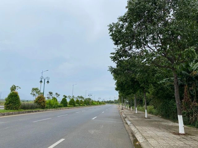 Các địa phương báo cáo các gói thầu vụ Cây xanh Công Minh thế nào? - Hình 2 Cac dia phuong bao cao cac goi thau vu Cay xanh Cong Minh the nao?-Hinh-2