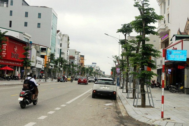 Các địa phương báo cáo các gói thầu vụ Cây xanh Công Minh thế nào? - Hình 4 Cac dia phuong bao cao cac goi thau vu Cay xanh Cong Minh the nao?-Hinh-4