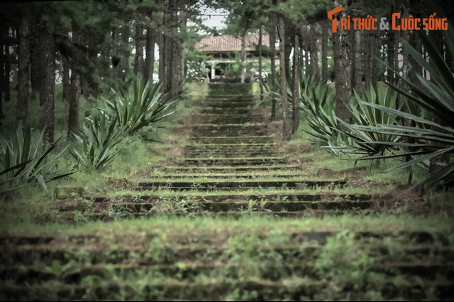 Lạnh người ở khu lăng mộ đá giữa rừng thông Đà Lạt - Hình 10 Lanh nguoi o khu lang mo da giua rung thong Da Lat-Hinh-10