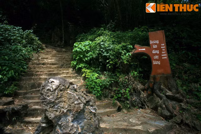 Hang dong huyen bi ben suoi ca than noi tieng nhat Viet Nam