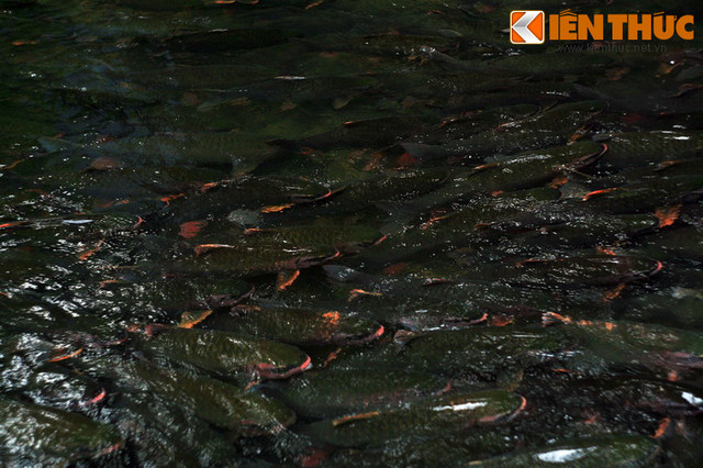 Hang dong huyen bi ben suoi ca than noi tieng nhat Viet Nam-Hinh-2