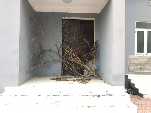 Toàn cảnh khu tái định cư Đền Lừ III bỏ hoang, lãng phí - Hình 11 Toan canh khu tai dinh cu Den Lu III bo hoang, lang phi-Hinh-11