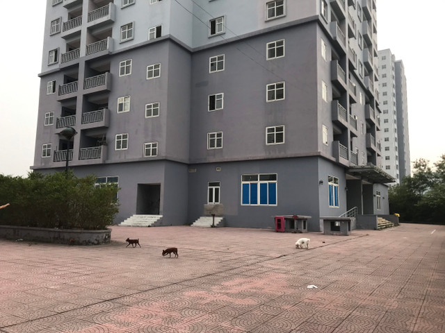 Toàn cảnh khu tái định cư Đền Lừ III bỏ hoang, lãng phí - Hình 14 Toan canh khu tai dinh cu Den Lu III bo hoang, lang phi-Hinh-14