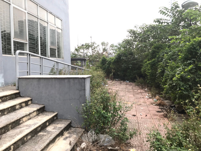 Toàn cảnh khu tái định cư Đền Lừ III bỏ hoang, lãng phí - Hình 3 Toan canh khu tai dinh cu Den Lu III bo hoang, lang phi-Hinh-3