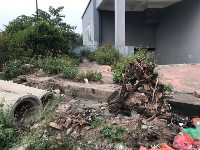 Toàn cảnh khu tái định cư Đền Lừ III bỏ hoang, lãng phí - Hình 2 Toan canh khu tai dinh cu Den Lu III bo hoang, lang phi-Hinh-2