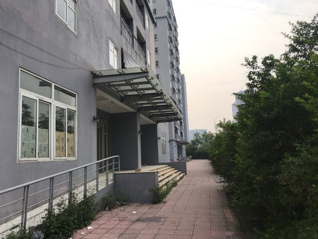 Toàn cảnh khu tái định cư Đền Lừ III bỏ hoang, lãng phí - Hình 13 Toan canh khu tai dinh cu Den Lu III bo hoang, lang phi-Hinh-13