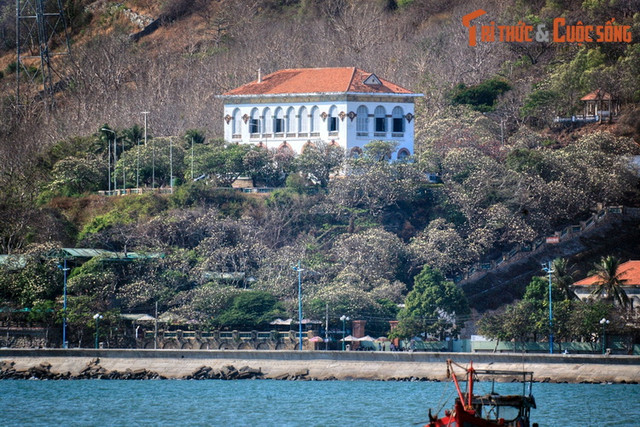 Hé lộ chuyện tình đế vương ít người biết ở Bạch Dinh Vũng Tàu He lo chuyen tinh de vuong it nguoi biet o Bach Dinh Vung Tau