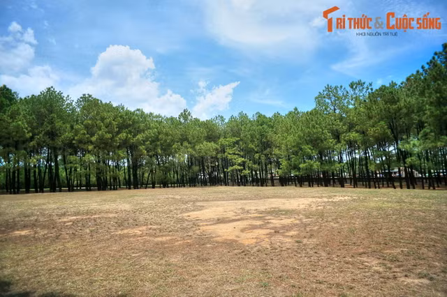 Dieu bat ngo ve dan te troi dat cua nha Nguyen-Hinh-12