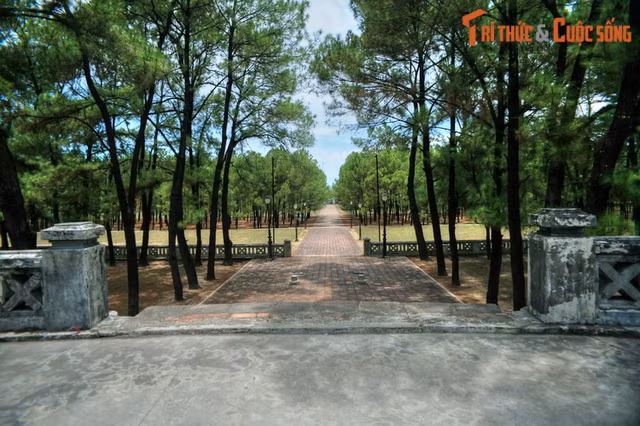 Dieu bat ngo ve dan te troi dat cua nha Nguyen-Hinh-8