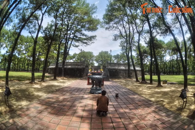 Dieu bat ngo ve dan te troi dat cua nha Nguyen-Hinh-9