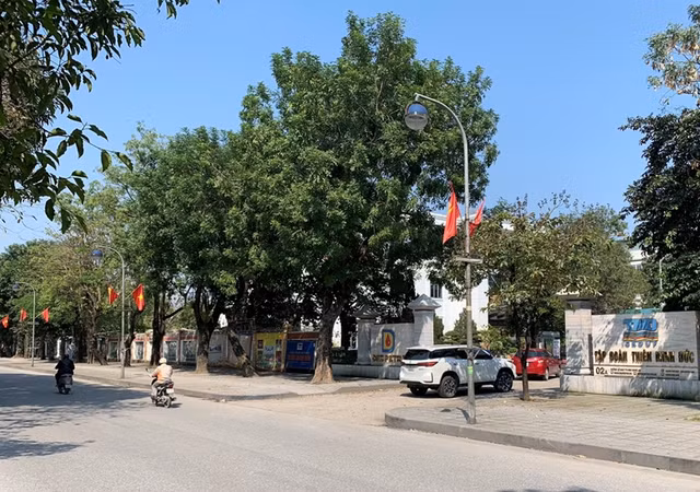 Tap doan Thien Minh Duc no thue va cac khoan thu khac den 1.000 ty dong