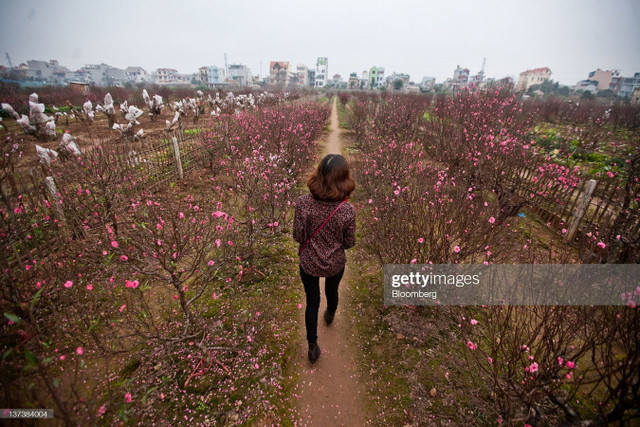 Ha Noi 10 nam truoc cuc thu vi qua loat anh hiem-Hinh-4