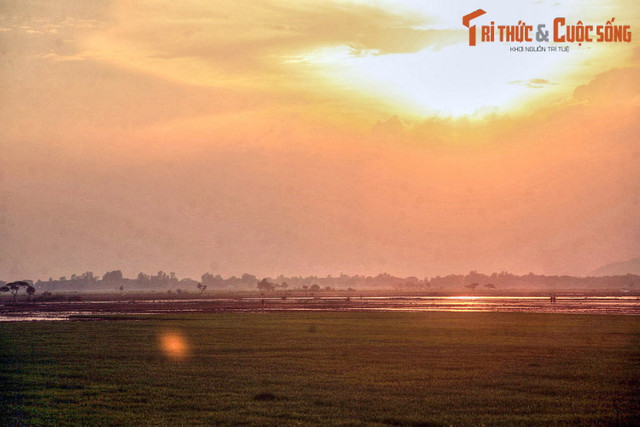 Mê mẩn cảnh sắc tuyệt vời ở An Giang - Hình 9 Me man canh sac tuyet voi o An Giang-Hinh-9