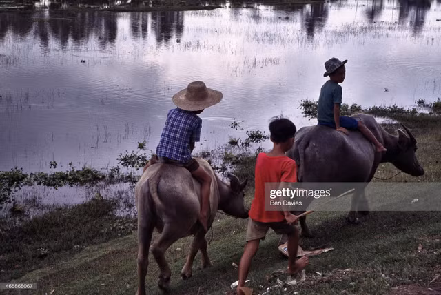 Viet Nam nam 1998 cuc song dong qua loat anh pho nhay Ben chup-Hinh-13