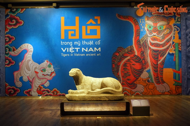 Hinh tuong ho dac sac tren loat co vat vo gia cua Viet Nam