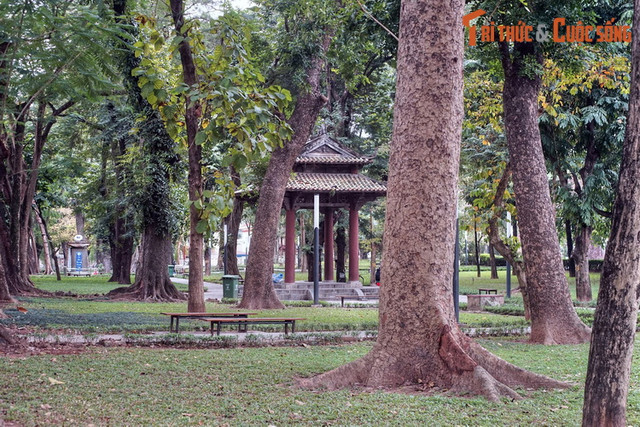 Can canh cong trinh co xua bi an trong Vuon hoa Le Nin o Ha Noi-Hinh-5