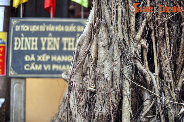Độc lạ ngôi đình thờ Nguyên phi Ỷ Lan giữa phố cổ Hà Nội - Hình 11 Doc la ngoi dinh tho Nguyen phi Y Lan giua pho co Ha Noi-Hinh-11