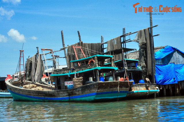Cuộc sống trên sông nước tuyệt vời của Cà Mau - Hình 3 Cuoc song tren song nuoc tuyet voi cua Ca Mau-Hinh-3