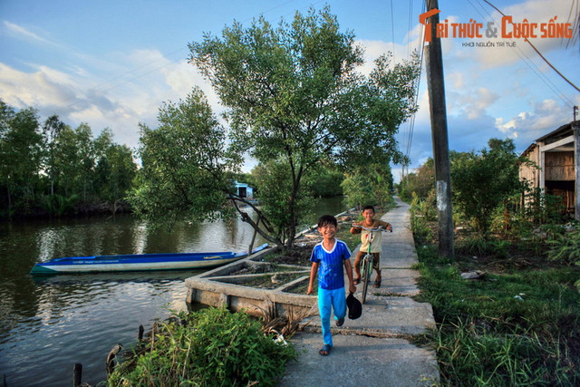 Cuộc sống trên sông nước tuyệt vời của Cà Mau - Hình 10 Cuoc song tren song nuoc tuyet voi cua Ca Mau-Hinh-10