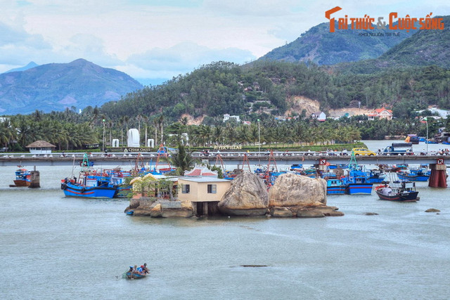 Điều đặc biệt ở dòng sông biểu tượng của thành phố Nha Trang - Hình 5 Dieu dac biet o dong song bieu tuong cua thanh pho Nha Trang-Hinh-5