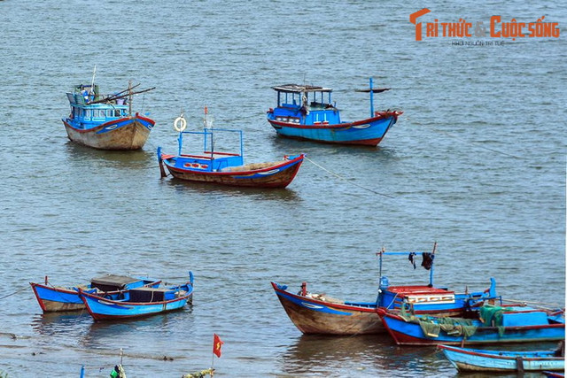 Điều đặc biệt ở dòng sông biểu tượng của thành phố Nha Trang - Hình 6 Dieu dac biet o dong song bieu tuong cua thanh pho Nha Trang-Hinh-6