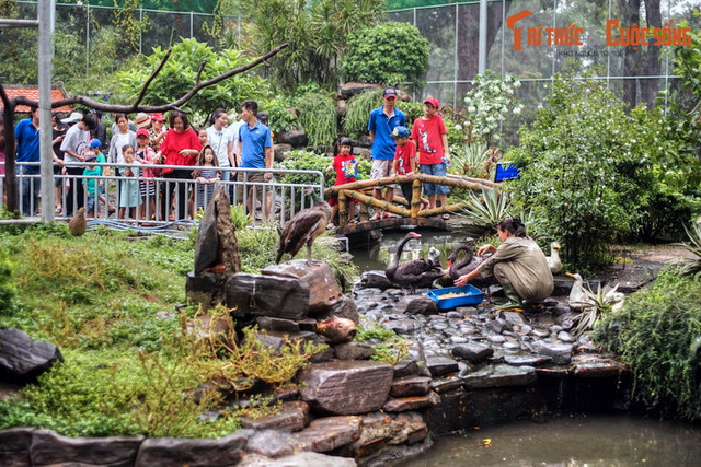 Ngất ngây ngắm vườn chim ở trung tâm Sài Gòn - Hình 2 Ngat ngay ngam vuon chim o trung tam Sai Gon-Hinh-2