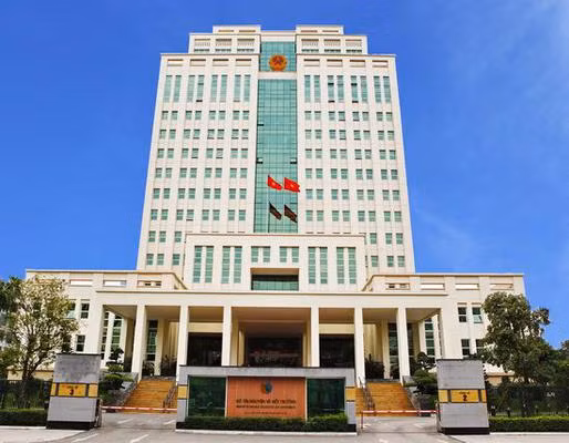 Vi sao Xi mang Xuan Thanh, Vicem But Son vao tam ngam thanh tra?