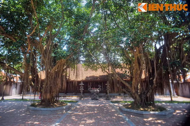 Kien truc tuyet my cua “Thieu Lam Tu” noi tieng Viet Nam-Hinh-2