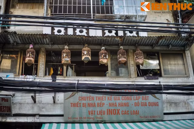 Dao quanh khu pho nghe quy mo nhat Ha Noi-Hinh-2