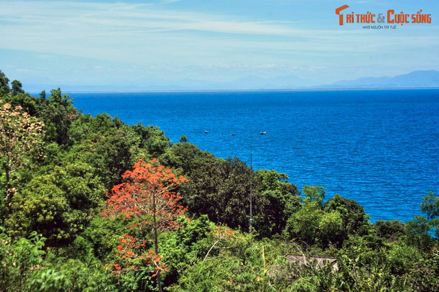 Bức tranh phong cảnh tuyệt đẹp của mảnh đất Quảng Nam - Hình 6 Buc tranh phong canh tuyet dep cua manh dat Quang Nam-Hinh-6