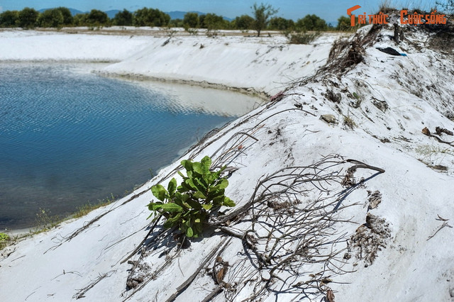Bức tranh phong cảnh tuyệt đẹp của mảnh đất Quảng Nam - Hình 8 Buc tranh phong canh tuyet dep cua manh dat Quang Nam-Hinh-8