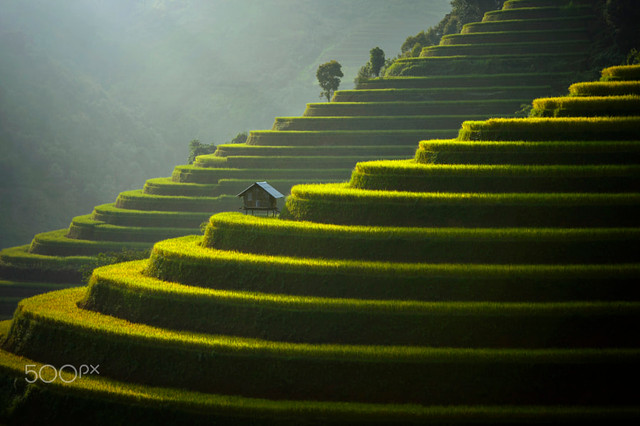 Viet Nam day loi cuon qua ong kinh nhiep anh gia Thai Lan-Hinh-9