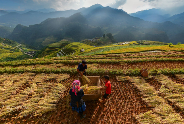 Viet Nam day loi cuon qua ong kinh nhiep anh gia Thai Lan-Hinh-12