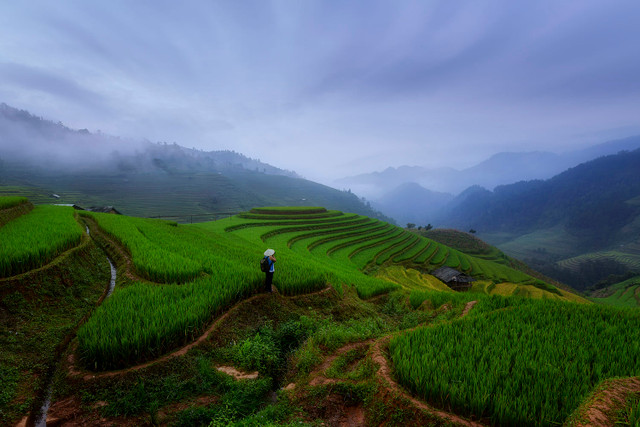 Viet Nam day loi cuon qua ong kinh nhiep anh gia Thai Lan-Hinh-11