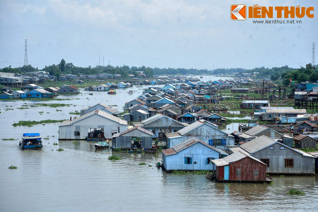 Điều đặc biệt chỉ có ở làng bè nổi tiếng nhất Việt Nam - Hình 2 Dieu dac biet chi co o lang be noi tieng nhat Viet Nam-Hinh-2