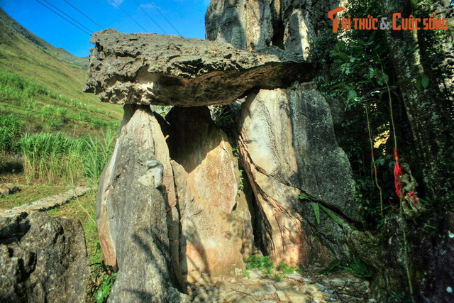 Sức mạnh tâm linh huyền bí của cây thiêng Thài Phìn Tủng - Hình 5 Suc manh tam linh huyen bi cua cay thieng Thai Phin Tung-Hinh-5