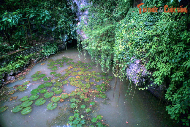 Điều đặc biệt ở nơi vua Đinh tuyên bố lập nước Đại Cồ Việt - Hình 11 Dieu dac biet o noi vua Dinh tuyen bo lap nuoc Dai Co Viet-Hinh-11