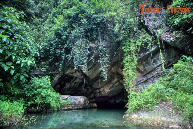 Khám phá vẻ đẹp sơ khai của Thung Nắng Ninh Bình Đắm - Hình 12 Kham pha ve dep so khai cua Thung Nang Ninh Binh Dam-Hinh-12
