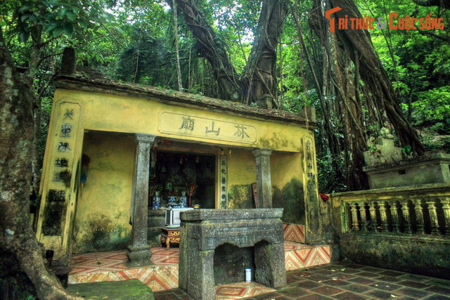 Khám phá vẻ đẹp sơ khai của Thung Nắng Ninh Bình Đắm - Hình 6 Kham pha ve dep so khai cua Thung Nang Ninh Binh Dam-Hinh-6