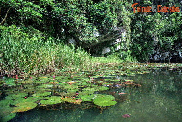 Khám phá vẻ đẹp sơ khai của Thung Nắng Ninh Bình Đắm - Hình 8 Kham pha ve dep so khai cua Thung Nang Ninh Binh Dam-Hinh-8