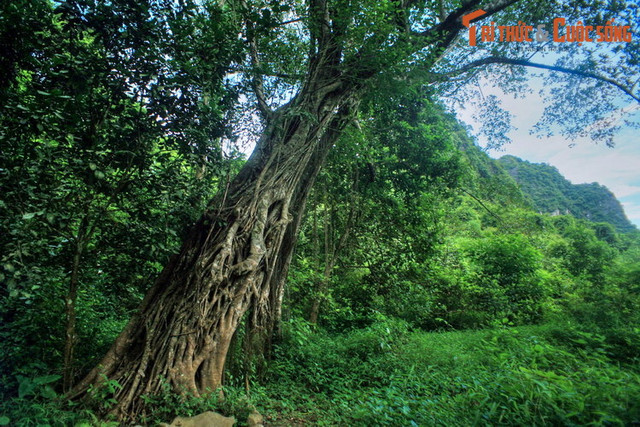 Khám phá vẻ đẹp sơ khai của Thung Nắng Ninh Bình Đắm - Hình 7 Kham pha ve dep so khai cua Thung Nang Ninh Binh Dam-Hinh-7