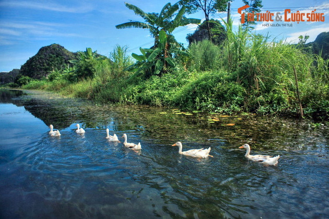 Khám phá vẻ đẹp sơ khai của Thung Nắng Ninh Bình Đắm - Hình 14 Kham pha ve dep so khai cua Thung Nang Ninh Binh Dam-Hinh-14