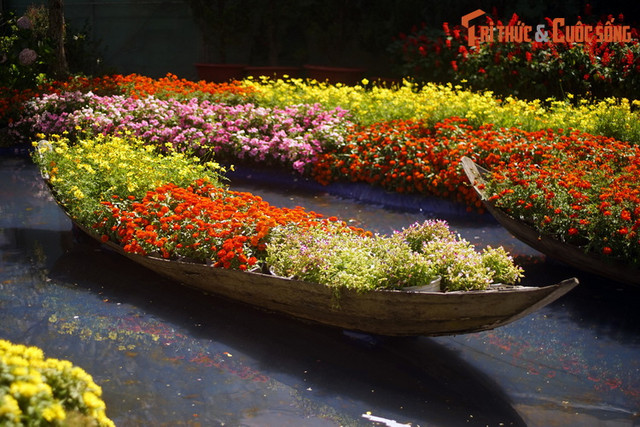 Khám phá bảo tàng về các loài hoa lâu đời, hút khách nhất Đà Lạt - Hình 6 Kham pha bao tang ve cac loai hoa lau doi, hut khach nhat Da Lat-Hinh-6