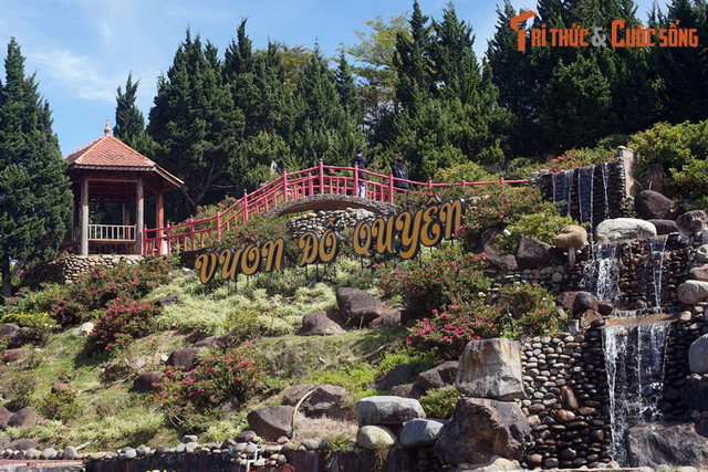 Khám phá bảo tàng về các loài hoa lâu đời, hút khách nhất Đà Lạt - Hình 9 Kham pha bao tang ve cac loai hoa lau doi, hut khach nhat Da Lat-Hinh-9