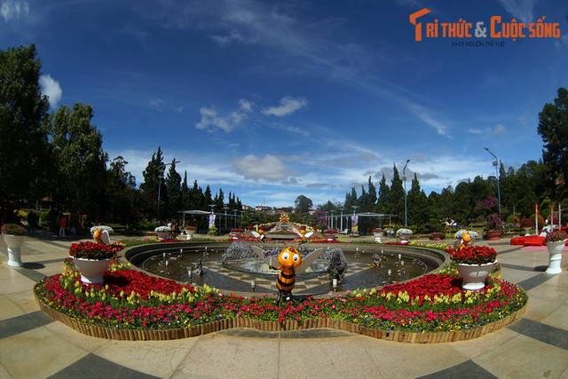 Khám phá bảo tàng về các loài hoa lâu đời, hút khách nhất Đà Lạt - Hình 5 Kham pha bao tang ve cac loai hoa lau doi, hut khach nhat Da Lat-Hinh-5