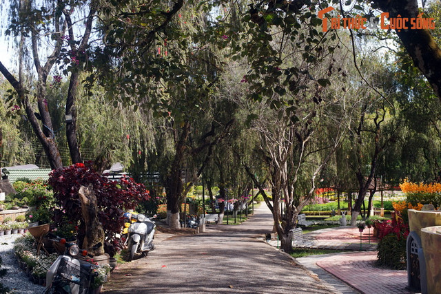 Khám phá bảo tàng về các loài hoa lâu đời, hút khách nhất Đà Lạt - Hình 4 Kham pha bao tang ve cac loai hoa lau doi, hut khach nhat Da Lat-Hinh-4